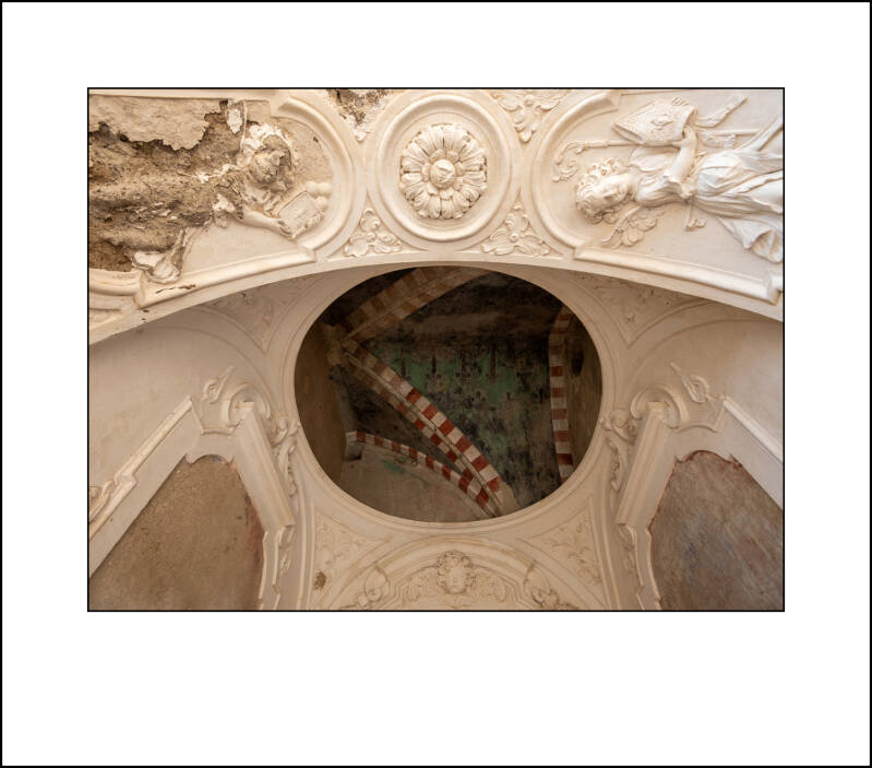 p1120647f-standard-nlzpxn.jpg