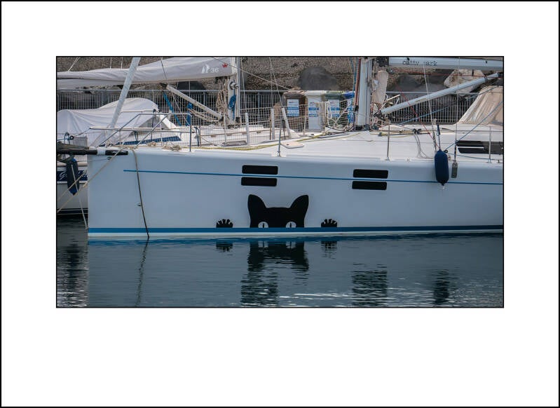 p1200803f-standard-aaldg8.jpg