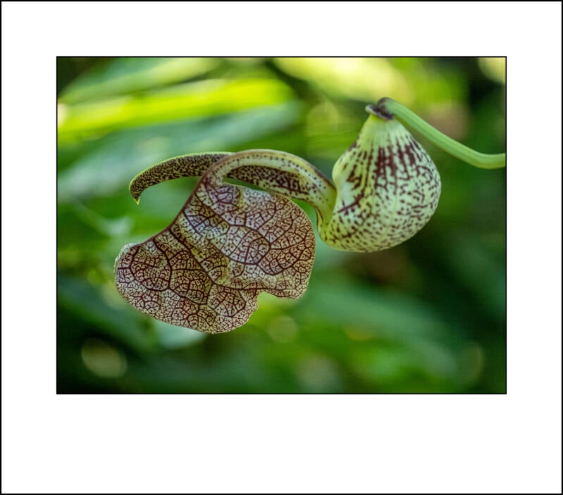 p1220613f-standard.jpg