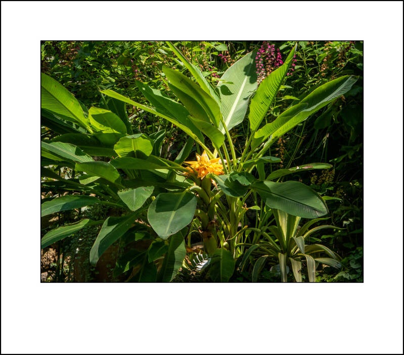 p1220733f-standard.jpg