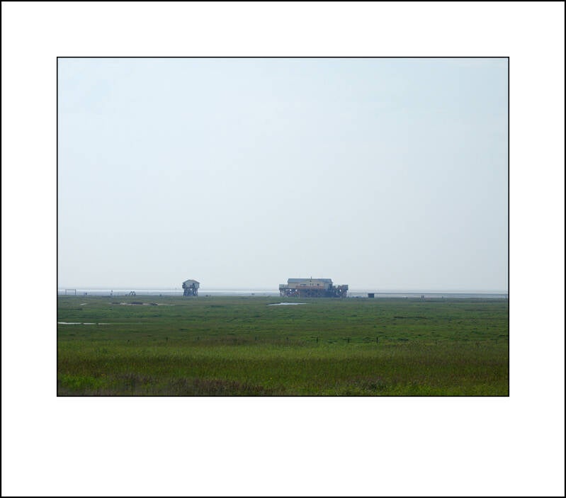p3040494sf-standard-n633dt.jpg
