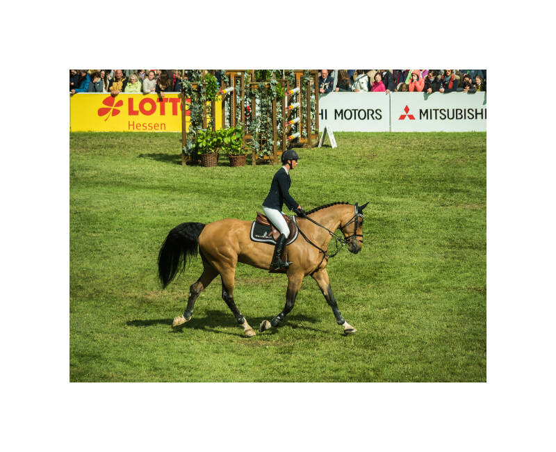 p5161444f-standard.jpg