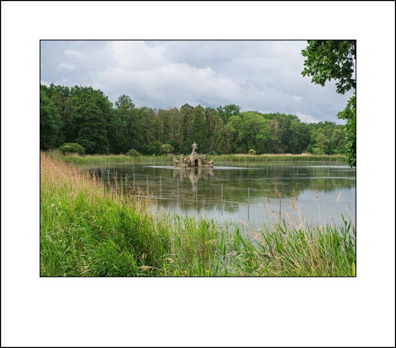p6030484f-standard.jpg