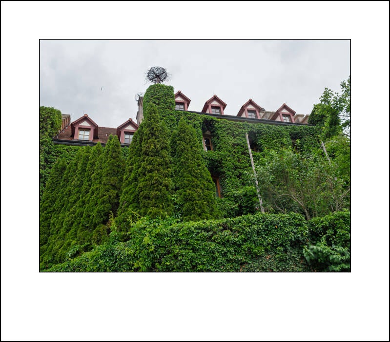 p6040586f-standard.jpg