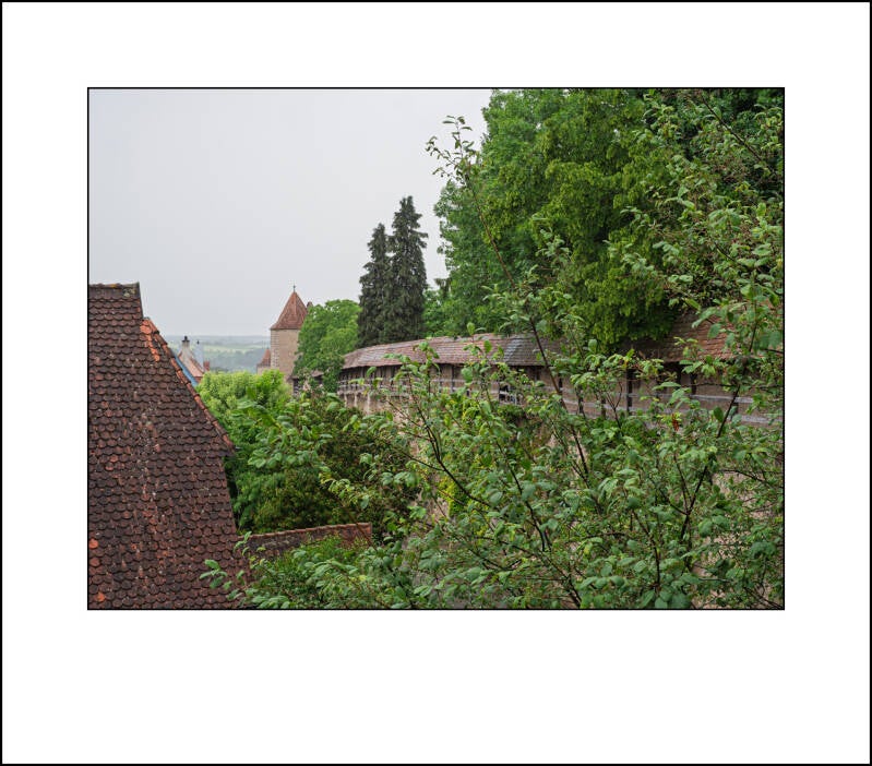 p6040675f-standard.jpg