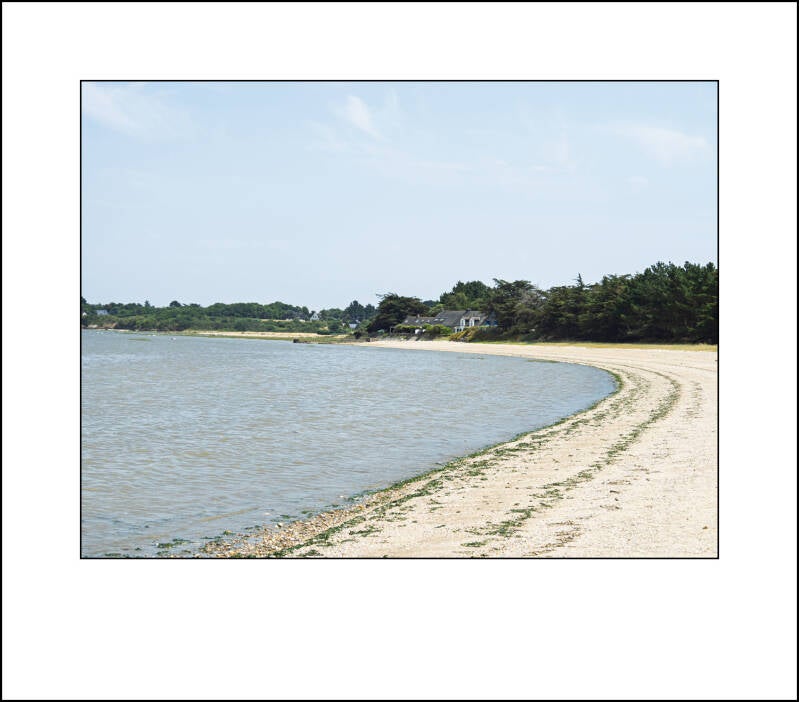 p6260238f-standard.jpg
