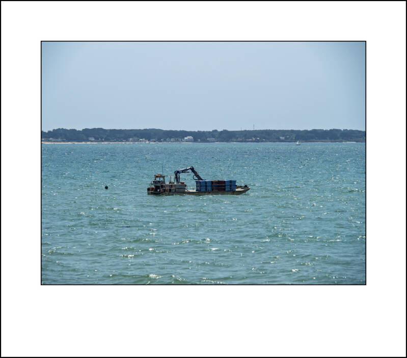 p6260263f-standard.jpg