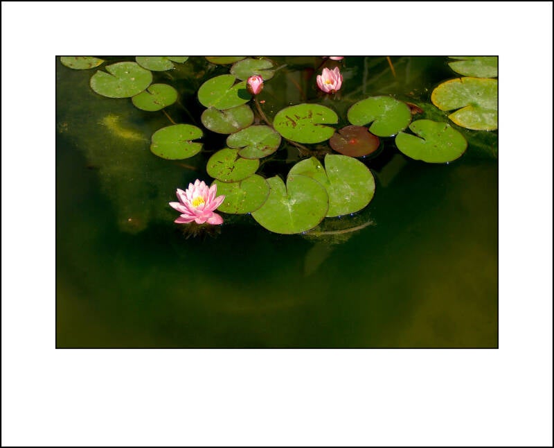p7111565f-standard-4g0yy9.jpg