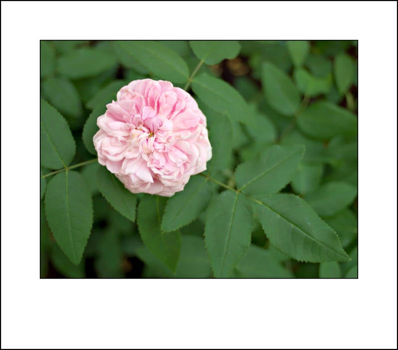 p7111691f-standard-e7nwh7.jpg
