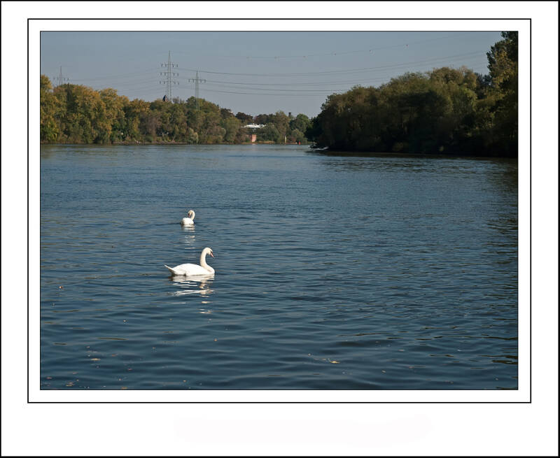 pa032103sf-standard-o1pkps.jpg