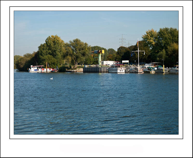 pa032136sf-standard-xnyu9l.jpg