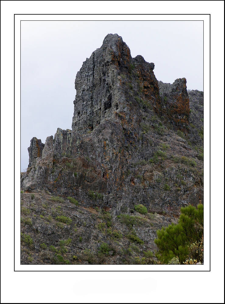 pa212599sf-standard.jpg