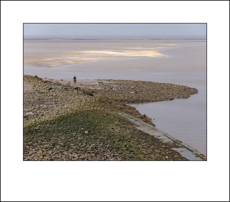 pl047547f-standard.jpg