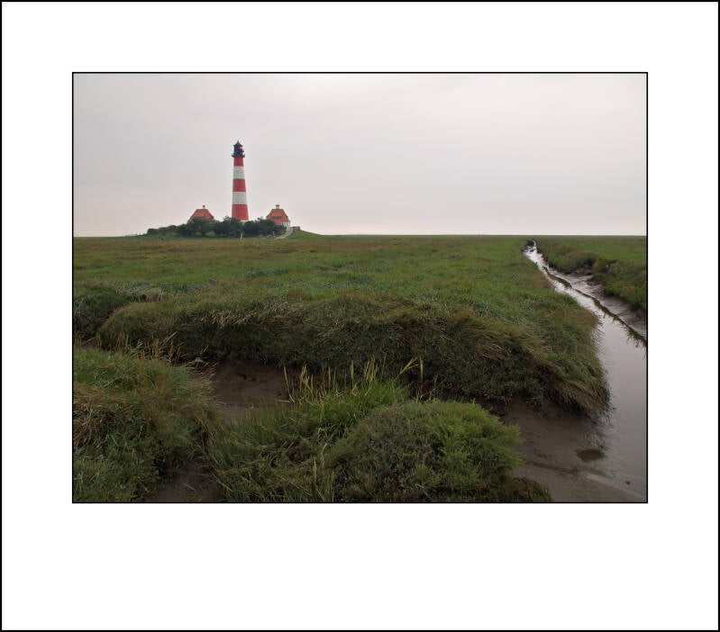 pl047585f-standard.jpg