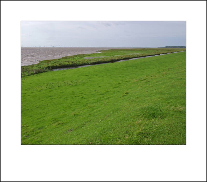 pl067689sf-standard-b484pe.jpg