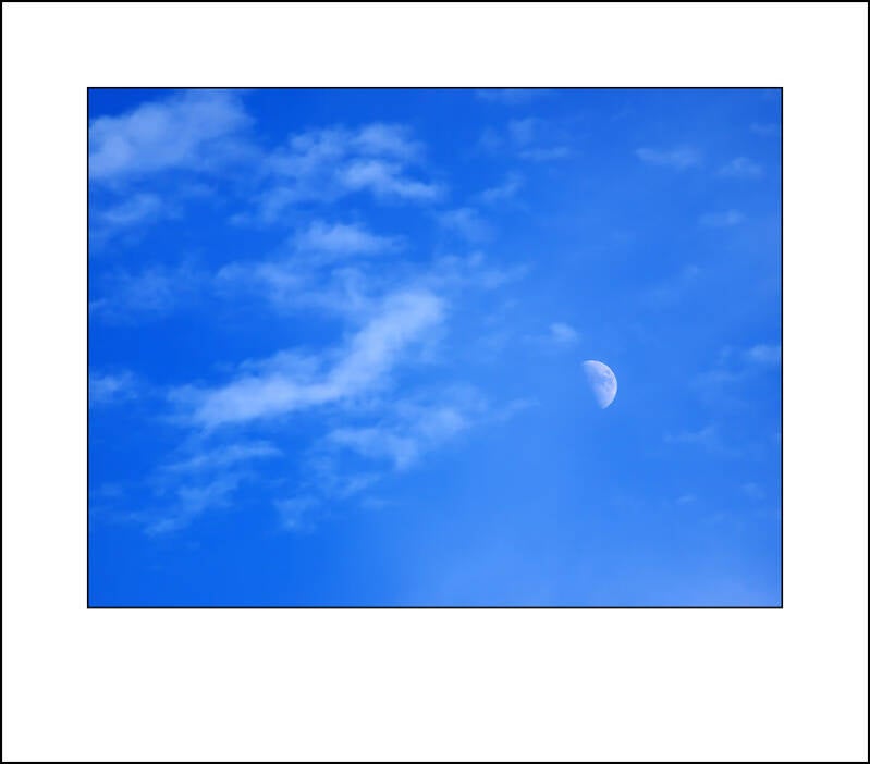 pl086044_1f-standard.jpg