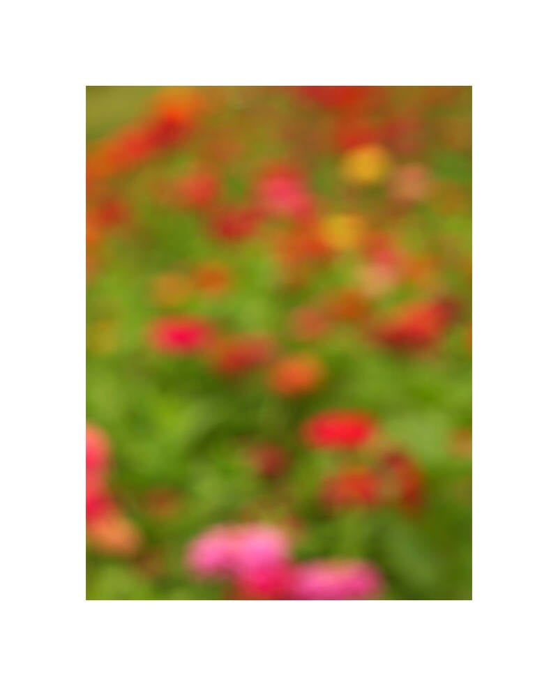 pl118633f-standard-14psli.jpg