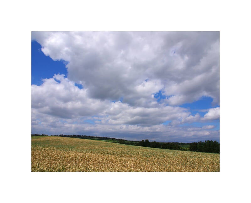pl146625f-standard.jpg