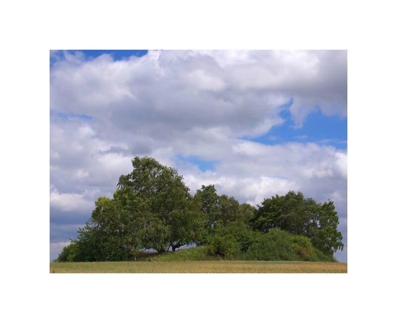 pl146627f-standard.jpg