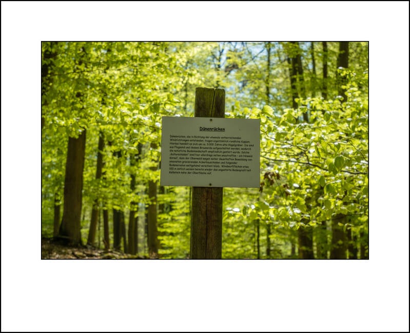 t30d0089f-standard.jpg