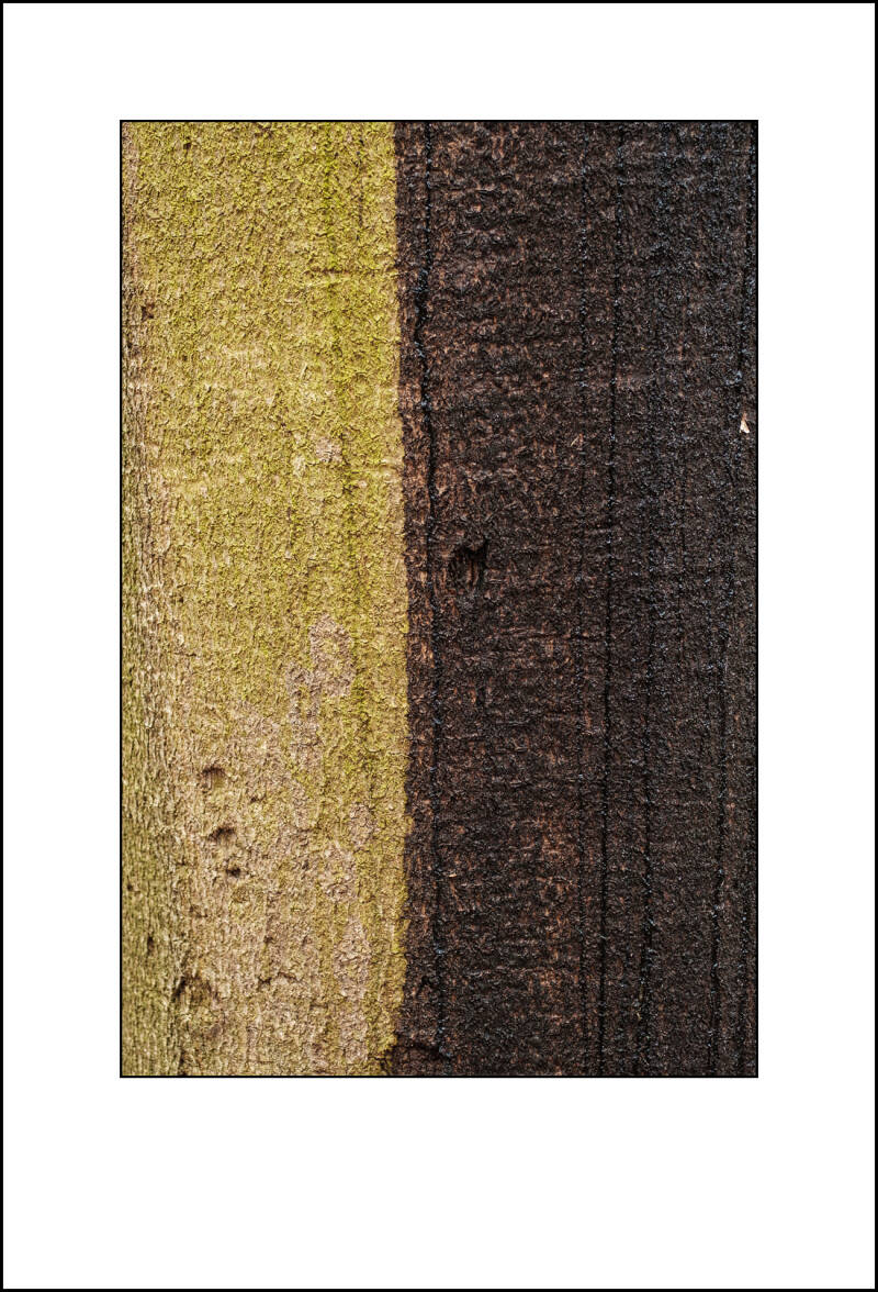 x0200075f-standard.jpg