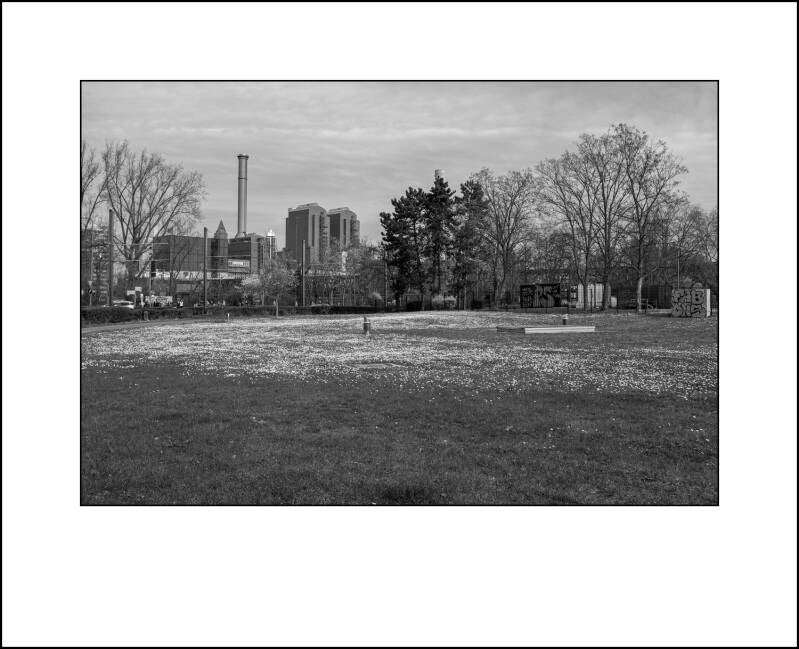 xt100141f-standard.jpg