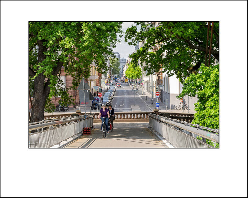 xt110295f-standard-py8lf1.jpg