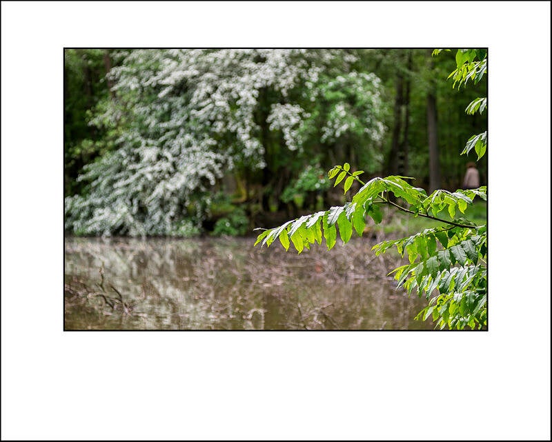 xt110427f-standard-ys1ewc.jpg