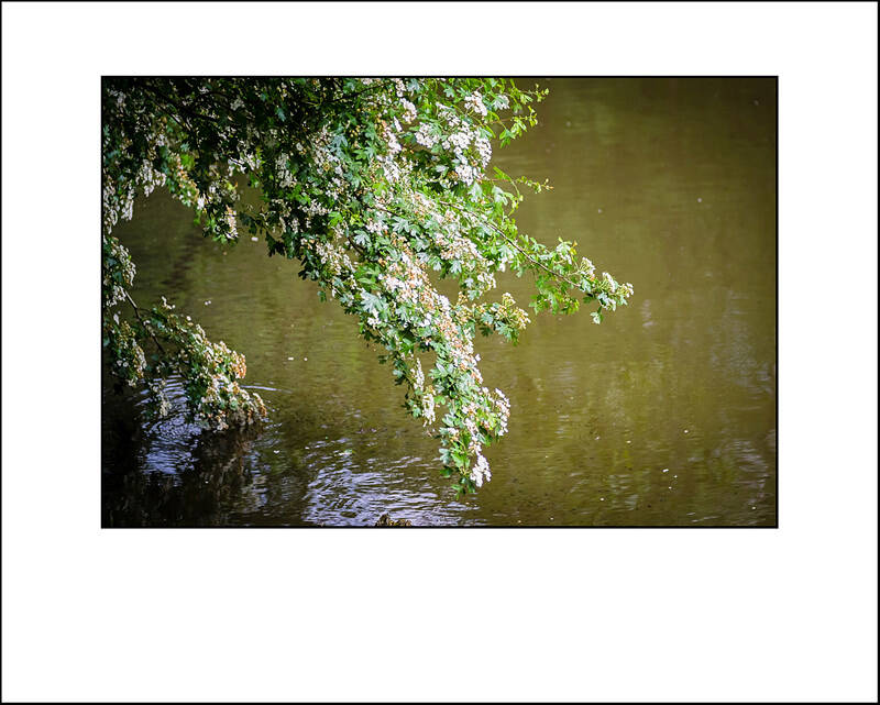 xt110440f-standard-l2jf64.jpg