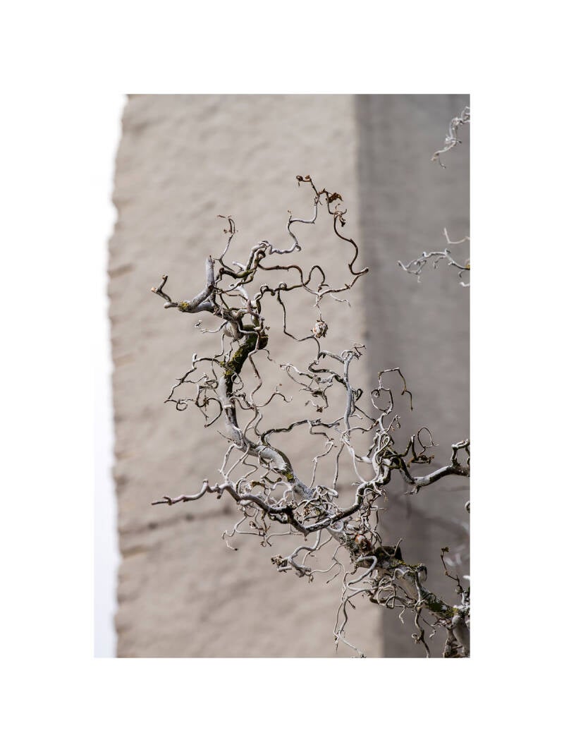 xt111178f-standard.jpg