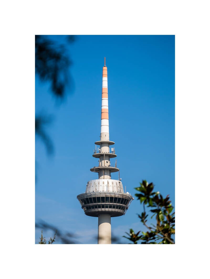 xt111225f-standard.jpg