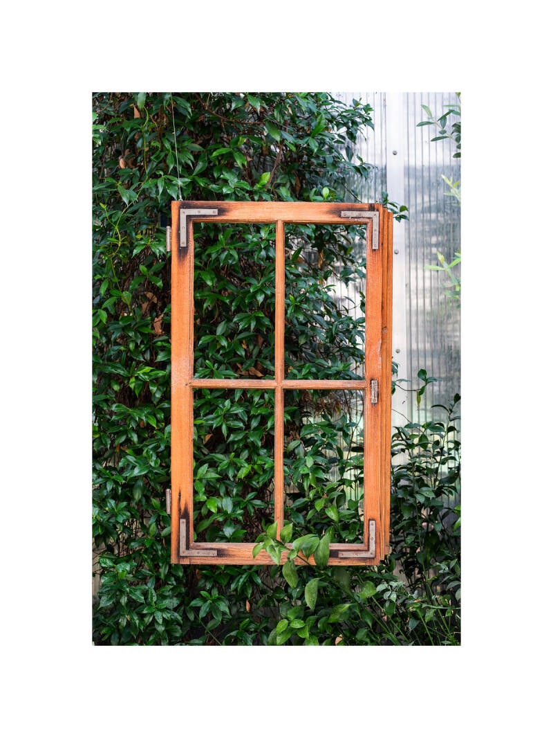 xt111256f-standard.jpg