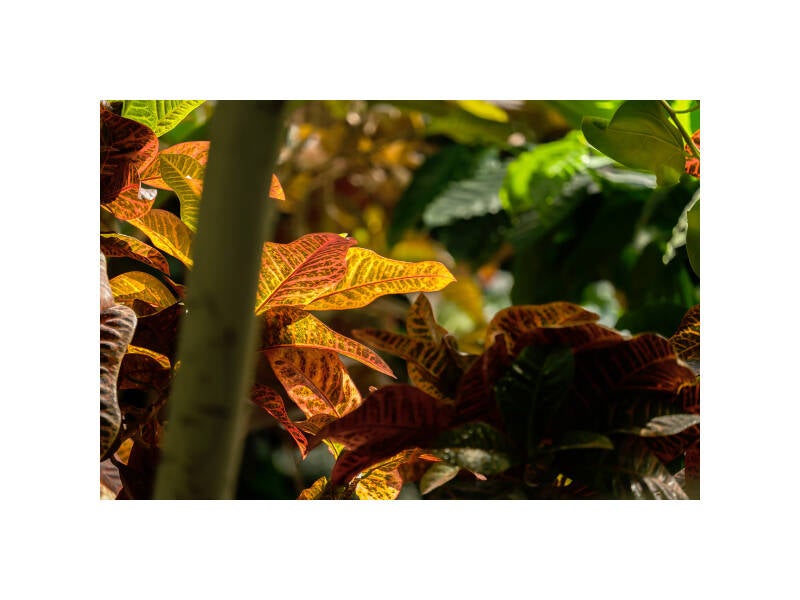 xt111274f-standard.jpg