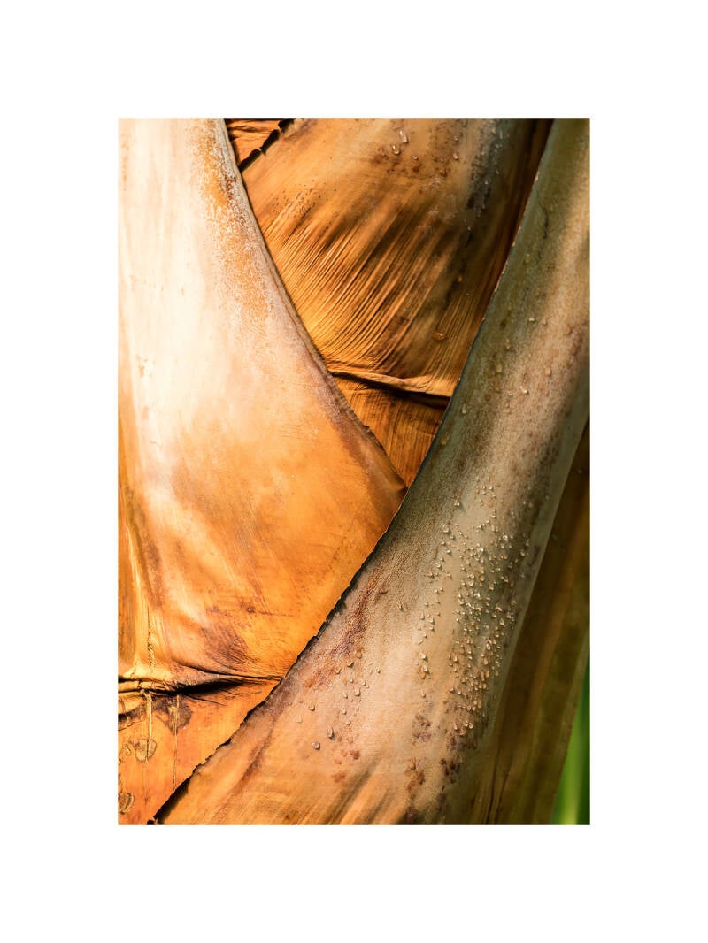 xt111360f-standard.jpg