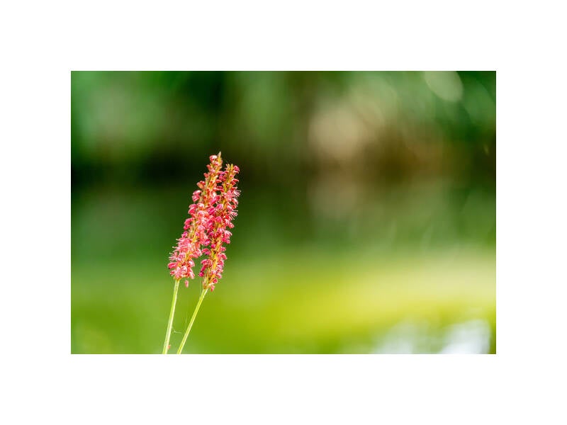 xt111673f-standard.jpg