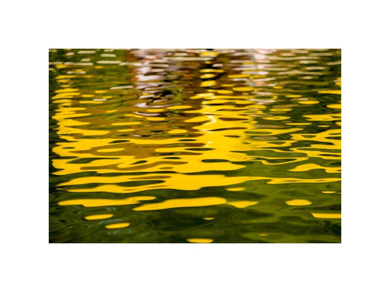 xt111749f-standard.jpg
