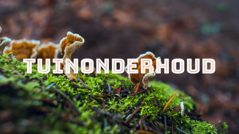 ecologisch tuinonderhoud, natuurlijk snoeien