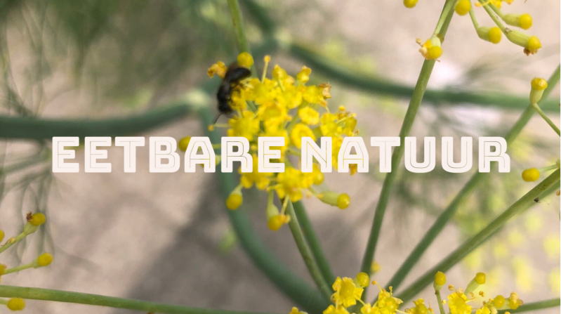 eetbare natuur, permacultuur, moestuin, voedselbos