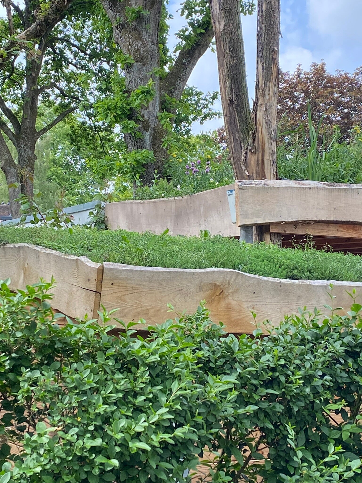 groen dak, sedumdak, gevelbeplanting, verticale tuin 