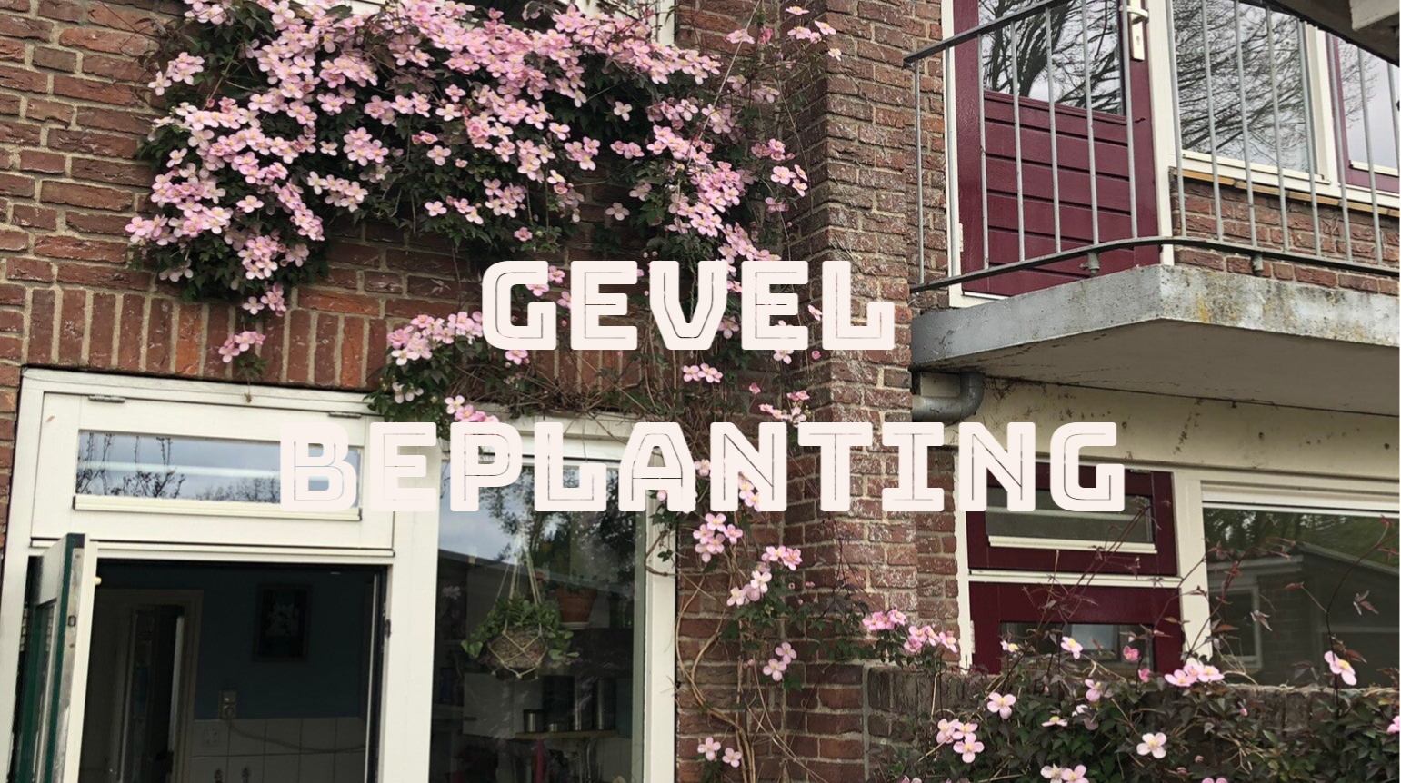 gevelbeplanting, verticale tuin 