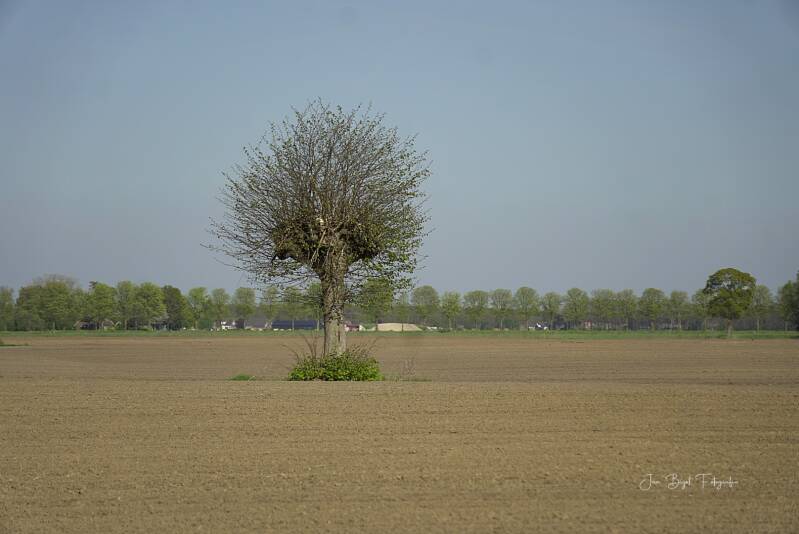 boom25-4-2026-standard.jpg