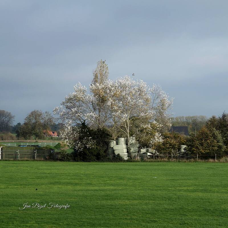 dsc02375-2.jpg