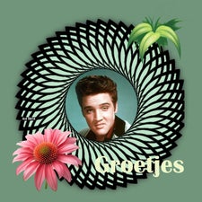 elvis-groet-10-standard.jpg