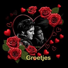 elvis-groet-12-standard.jpg