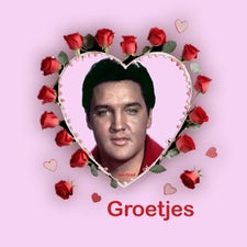 elvis-groet-13-standard.jpg