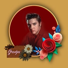 elvis-groet-17-standard.jpg
