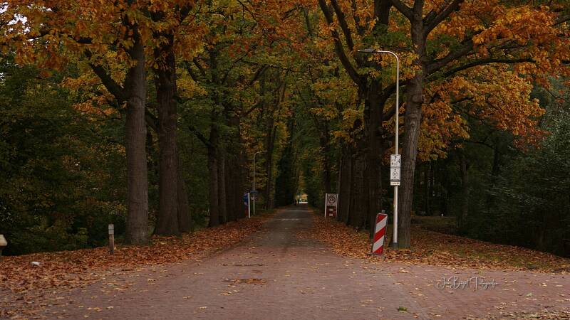 landschap29-10-202311.jpg