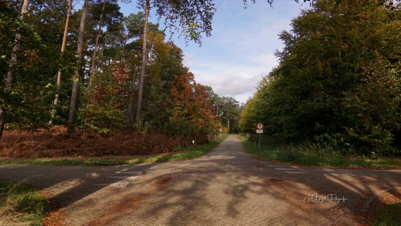 landschap29-10-202313.jpg