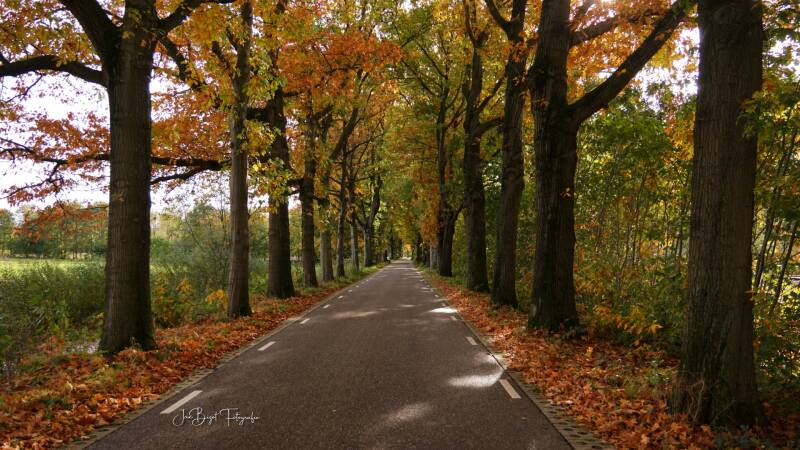 landschap29-10-20233.jpg