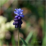 dsc05348-3.jpg